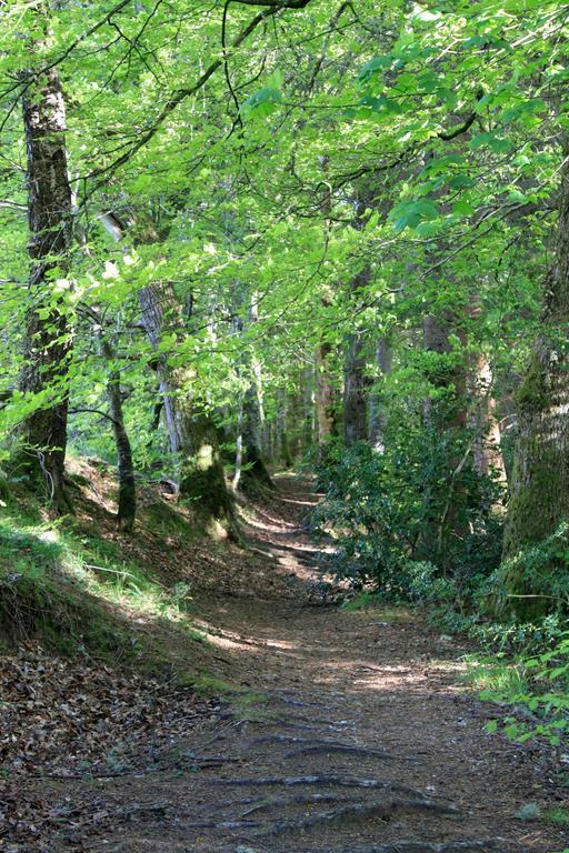 Craik Na Dav B&B Invermoriston Bagian luar foto