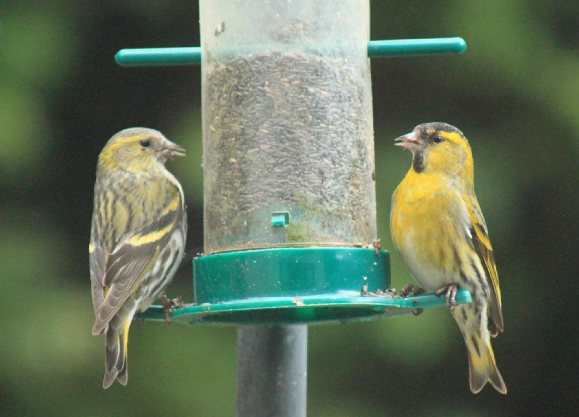 Craik Na Dav B&B Invermoriston Bagian luar foto